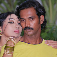 Alaral tamil movie  stills | Picture 41523